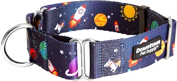 Downtown Pet Supply - Martingale Collar for Dogs - Dog Training Collar - Big, Wide & Thick Dog Collar - Escape-Proof, Weatherproof, Durable and Comfortable - Space - Small Dog Collar