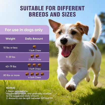 Dog Allergy Chews 200ct - Dog Allergy Itching Skin Relief & Immune Support Anti Itch Probiotics for Yeast, Itchy Skin and Itchy Ears, Vitamins for Seasonal Allergies Itchy Skin, Gut Health, Lamb