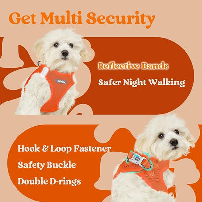 rabbitgoo Small Dog Harness, Step-in Soft Mesh Puppy Vest with Safety Buckle, Breathable Reflective Pet Harness for Extra Small Dogs, Orange XXXS