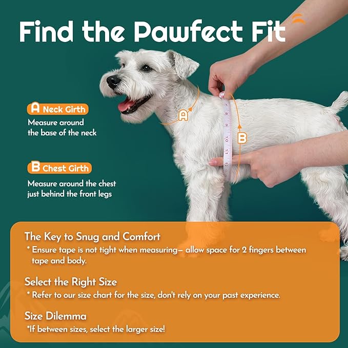 Eagloo Small Dog Harness and Leash Set, Step in Puppy Vest with Breathable Soft Mesh, Walking Reflective Pet Harness for Small Dogs, Forest Green, M