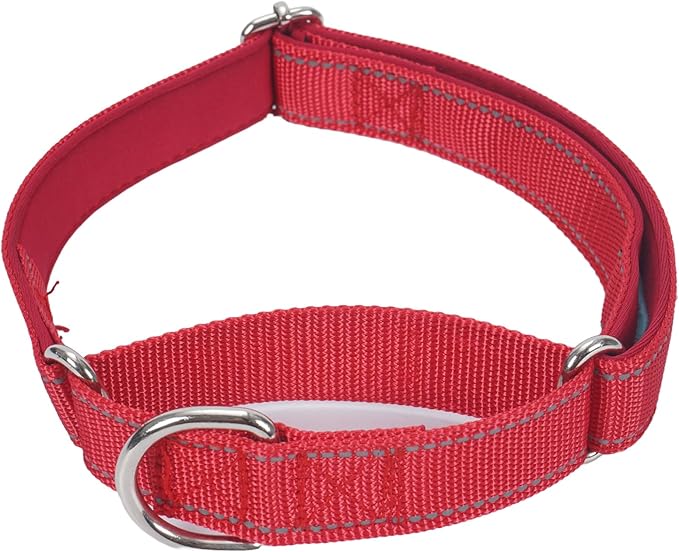 SGODA Martingale Dog Collar, Reflective Nylon Padded Dog Training Collars for Small Dogs, Red S