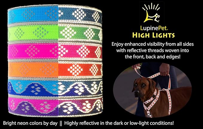 Lupine Large Reflective Dog Collar 3/4" Wide Blue Paws Adjusts from 15" to 25"