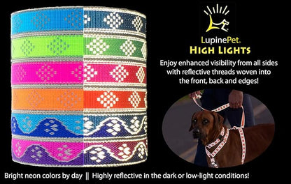 Lupine Large Reflective Dog Collar 3/4" Wide Blue Paws Adjusts from 15" to 25"