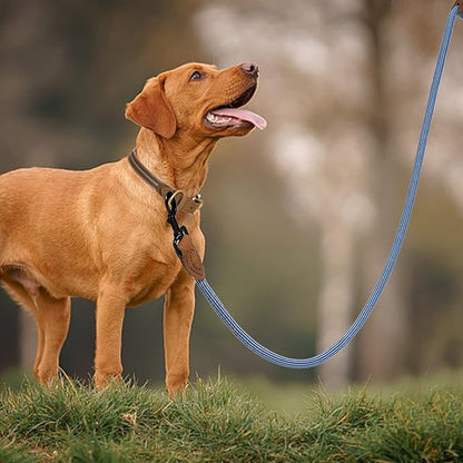 Mile High Life Rope Leash with Genuine Leather Connection, 6 FT/5 FT/4 FT, Heavy Duty Leash for Medium & Large Dogs (Blue White, 60 Inch)
