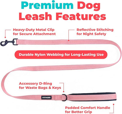 Best Pet Supplies Voyager Reflective Dog Leash or Collar with Neoprene Handle, for Small, Medium, and Large Breed Puppies, Cute and Heavy Duty for Walking, Running and Training - Pink (Leash), L