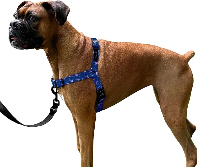 ShawnCo Dream Walk No-Pull Dog Harness- Adjustable, Comfortable, Easy to Use Pet Halter to Help Stop Pulling for Small, Medium and Large Dogs- Art Pattern Designs (White Sharks, L)