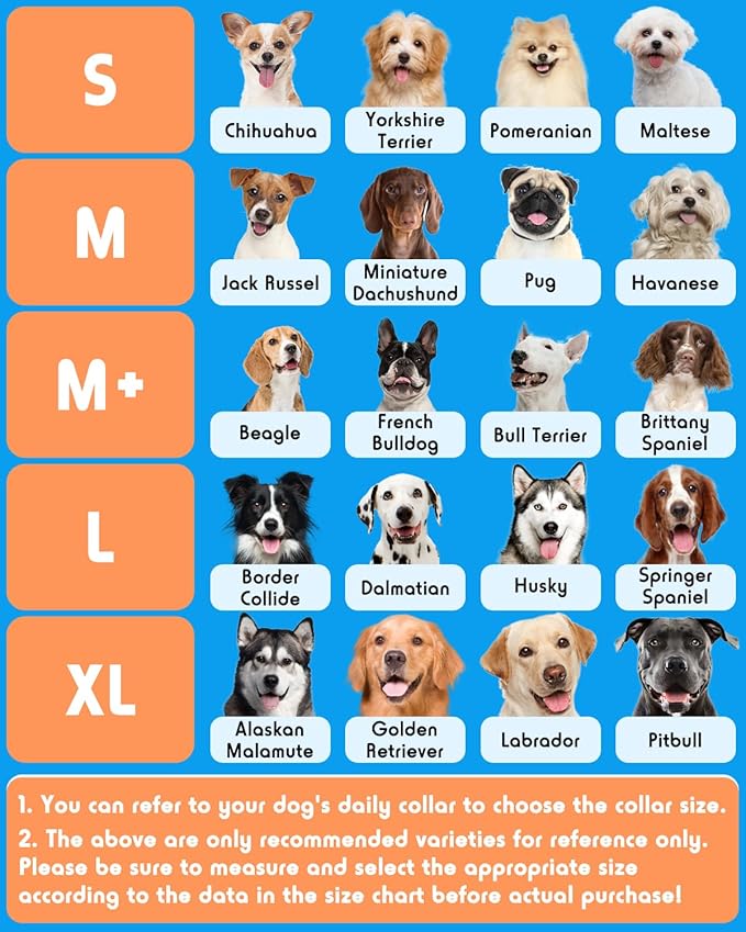Inflatable Dog Pillow Cone Collar After Surgery, Donut Soft Neck Cone for Beagle French Bulldog Medium Plus Dogs, etc, Recovery E Collar to Stop Licking Paw