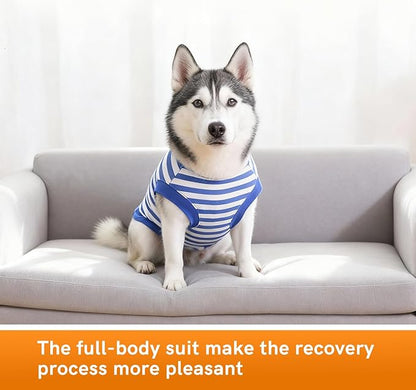Dog Surgery Recovery Suit Dogs Neuter Spay Female Male Protective Clothes, Blue White XXL