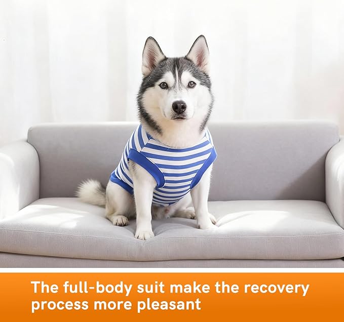 Dog Surgery Recovery Suit Dogs Neuter Spay Female Male Protective Clothes, Blue White 3XL