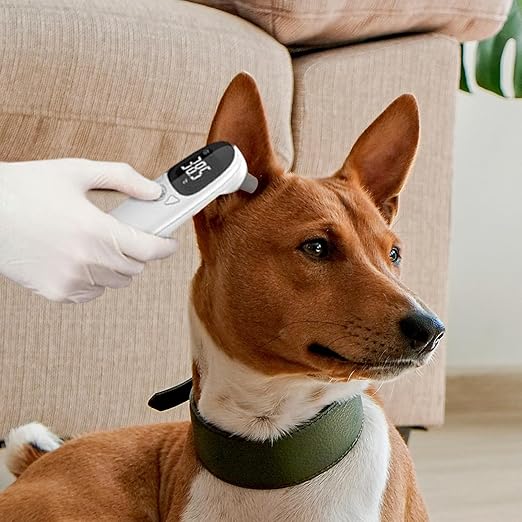 Pet Temperature Monitor – Veterinary Fevers Sensor, Professional Animal Thermometer, Duals Mode Accurate Device with Easy Read Display | Essentiall Health Tool for Cats Dogs Pigs Cows Livestock Use