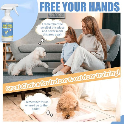 16 Oz Dog not here Pee - Gentle and Effective Pet Behavior Aid | Effective Training Aid for Reducing Indoor Dog Marking