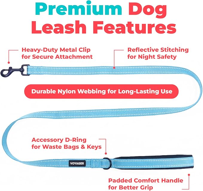 Best Pet Supplies Voyager Reflective Dog Leash or Collar with Neoprene Handle, for Small, Medium, and Large Breed Puppies, Cute and Heavy Duty for Walking, Running and Training - Baby Blue (Leash), M