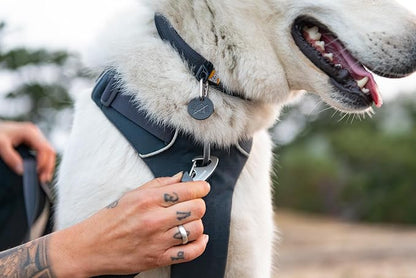 Ruffwear, Front Range Dog Collar, Adjustable Tubelok Webbing, Lightweight, Side Release Buckle, Aluminum V-Ring, Durable for Everyday Use, Coastal Fade, 14"-20"