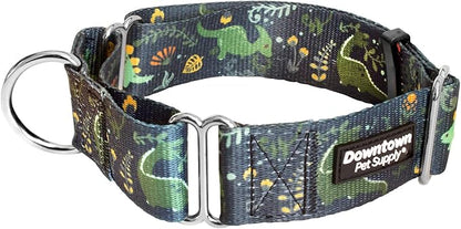 Downtown Pet Supply - Martingale Collar for Dogs - Dog Training Collar - Big, Wide & Thick Dog Collar - Escape-Proof, Weatherproof, Durable and Comfortable - Dino - Extra Large Dog Collar