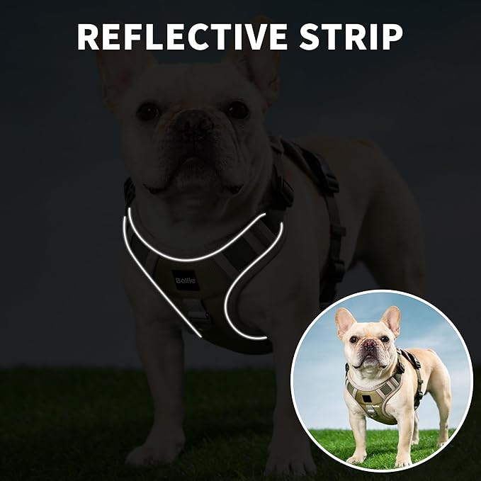 Small Dog Harness, Heavy Duty Tactical No-Pull Reflective Harness & Collar Set — Secure, No Choke, Easy On and Off Pet Vest, Adjustable Dog Vest with Breathable Padded for Walking Hiking Training