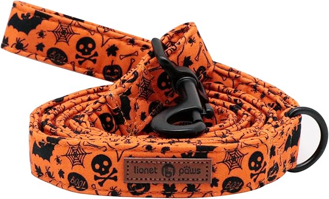 Lionet Paws Dog Leash for Small Dogs, Orange, 5/8in x 4ft