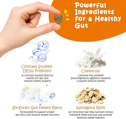 Probiotics for Dogs - Digestive Enzymes for Gut Flora, Digestive Health, Diarrhea & Bowel Support - Clinically Studied DE111 - Dog Supplement Soft Chew for Pet Immune System - Chicken