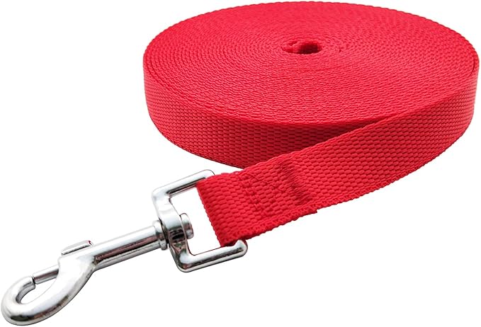 Nylon Training Dog Leash for Small Medium Large Dogs, 15ft 20ft 30ft 50ft Long Leash Dog/Puppy Lead for Obedience Recall Training, Camping (30ft, Red)