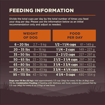 Wellness CORE Dry Dog Food, Grain-Free, High Protein, Original Turkey & Chicken Recipe, (35-Pound Bag)