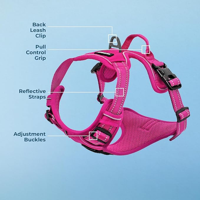 Voyager Dog Harness Dual Leash Attachment No-Pull Control Adjustable Soft but Strong Pet Harness for Medium and Large Dogs with 3M Reflective Technology, Fuchsia Nylon, S (Chest: 16-20")