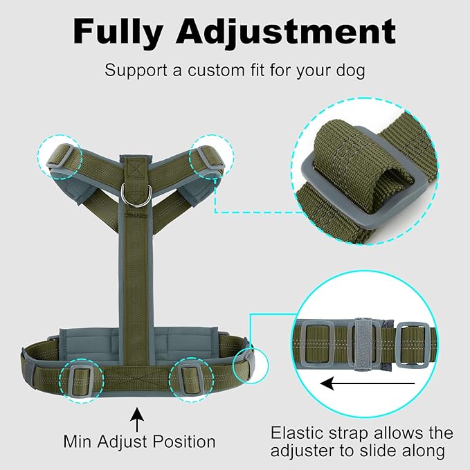Plutus Pet No Pull Dog Harness, Adjustable Nylon Harness with Soft Padding, Reflective and Heavy Duty Dog Harness for Small, Medium, Large Dogs(Ranger Green, M)