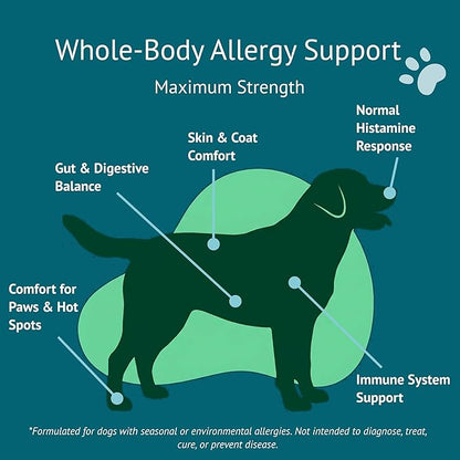 Allergy Relief Dog Chews – Quercetin, Turmeric, Ashwagandha, Probiotics & Colostrum – Seasonal Allergy, Immune & Digestive Support – for Itchy Skin & Hot Spots – All Breeds & Sizes