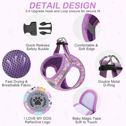 BEAUTYZOO Easter Dog Harness and Leash Set,Step in No Choke No Pull Soft Mesh Dog Harnesses Reflective for XSmall/Small Puppy Dogs Cats, Cute Coloful Egg Dog Vest for Outdoor Walking,Purple XS
