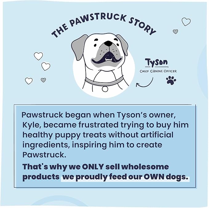 Pawstruck Air Dried Dog Food with Real Beef, Grain Free, Made in USA, Non-GMO, Vet Recommended, High Protein Limited Ingredient Full-Feed, All Breeds & Ages, 2.5oz Trial Bag