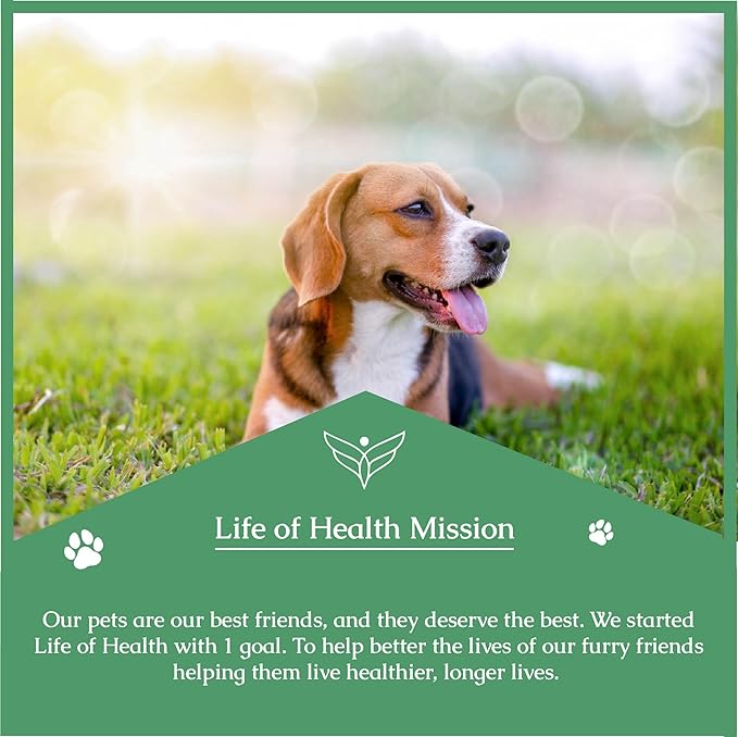 Quercetin for Dogs - Quercetin for Dogs Allergies - Supports Immune, Respiratory, Skin Health & More - Dog Allergy Support - Dog Allergy Relief - 1 fl oz