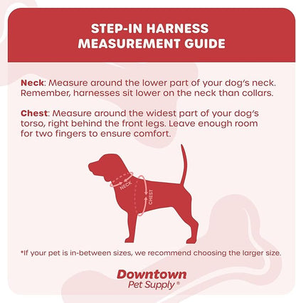 Downtown Pet Supply Step-in Dog Harness – No Pull, Adjustable Padded Mesh with Reflective Trim, Secure Buckle Strap – Comfortable & Breathable Small Dog Harness, X-Small, Space