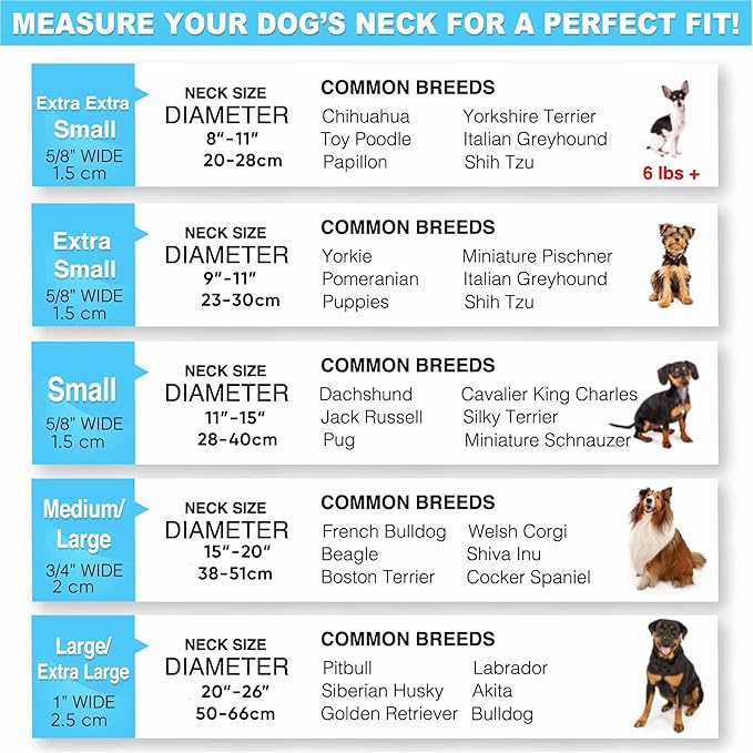Pawtitas Lumberjack Padded Martingale Collar for Dogs | Soft Neoprene Dog Collar for Your pet's Comfort Made with Reflective Band for Maximum Visibility | Fits Small and Large Pets - Small Orange