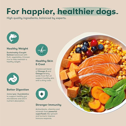 Jinx Premium Dry Dog Food Bundle - Salmon Kibble & Beef Kibble - 4lbs Each