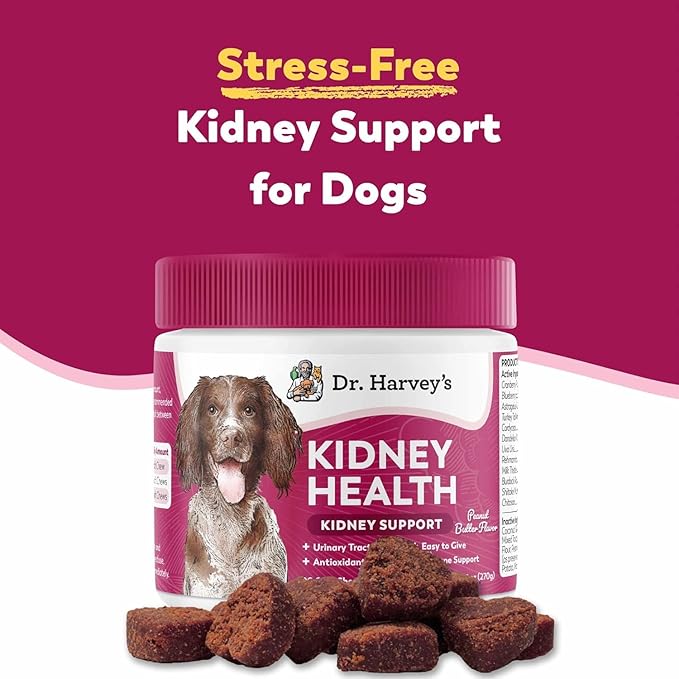 Dr. Harvey’s Kidney Support Soft Chews for Dogs, Renal & Urinary Tract Health Supplement with Turkey Tail Mushroom, 90 Chews