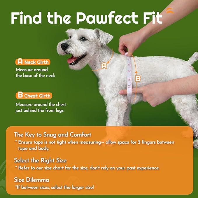 Eagloo Small Dog Harness and Leash Set, Step in Puppy Vest with Breathable Soft Mesh, Walking Reflective Pet Harness for Small Dogs, Green, S