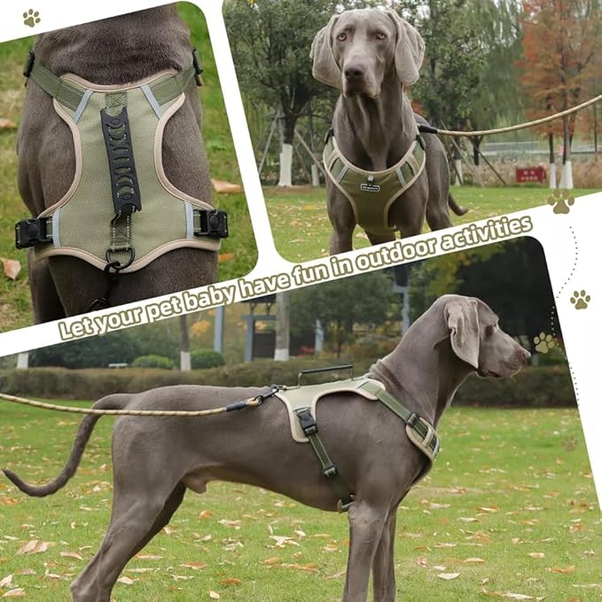 Dog Harness No Pull Adjustable Reflective,for Medium and Large Small Dog with Leash 59.06in (Khaki, M)