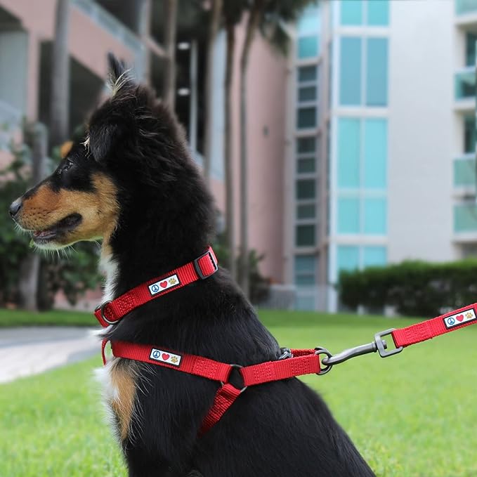 Pawtitas Solid Step-in Dog Harness – Adjustable No-Pull Vest for Puppies to Seniors, Safe & Comfortable S Orange