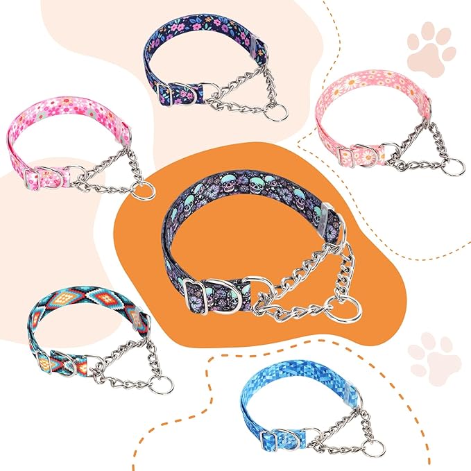 Martingale Dog Collar with Chain, No Pull Slip Cinch Choker Choke Collar Western Boho Aztec Duty Dog Collar for Medium Large Extra Large Pet Dogs,Western L