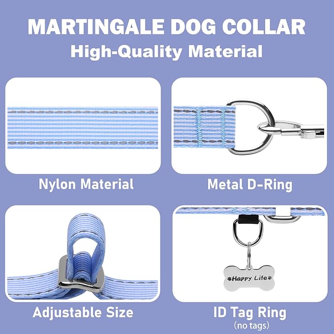 Reflective Martingale Collar for Dogs Nylon Training Collar with No Buckle, No Pull Escape Proof Dog Collar for Large Dogs（Blue Stripe，L）