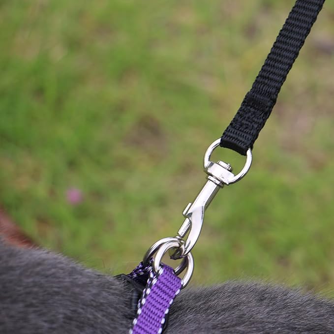 AMAGOOD 6 FT Cat Leash, Strong and Durable Traditional Style Leash with Easy to Use Collar Hook,Cat Lead Great for Cats (3/8" x 6 Feet,Black and Black(2-Pack))