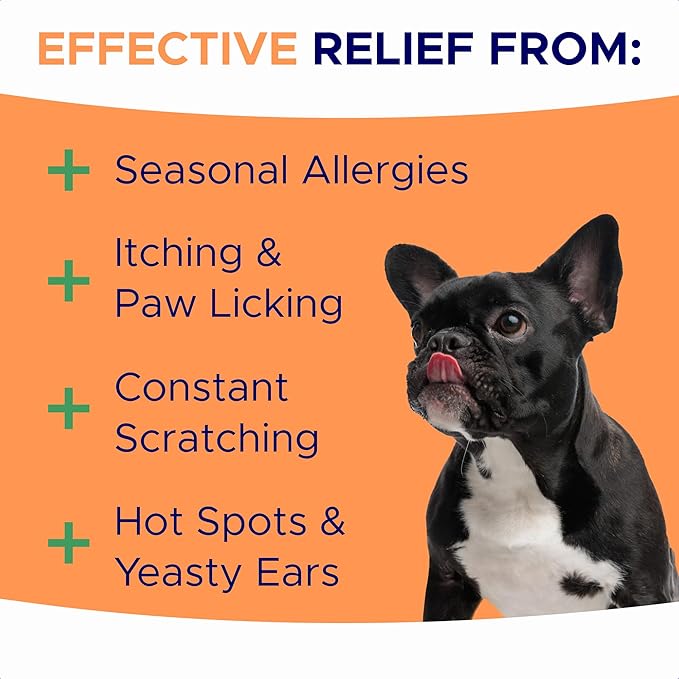 Dog Allergy Relief Chews — Anti-Itch Skin & Coat Supplement: No Fillers, Just Flavor - Itchy Skin Relief Treatment w/Omega 3 Fish Oil - Itching&Paw Licking - 360 Allergy Chews (Chicken)
