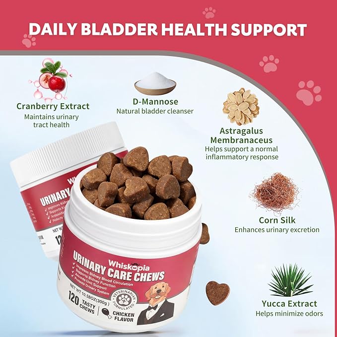 Dog UTI Treatment Cranberry Chews for Dogs Urinary Tract Supplement for Dogs and Cats with D-Mannose, Supports Canine Kidney Bladder Health Immune and Gut Support Bladder Control for Dogs- 120 Ct