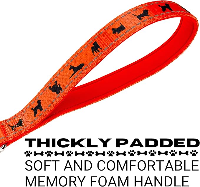 EcoBark Dog Leash - Soft & Reflective Comfort Leashes with Padded Handle - Safe, Strong, & Durable for Small, Medium or Large Dogs (Sky Blue)