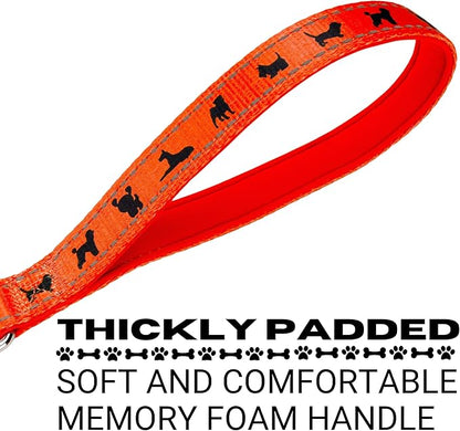 EcoBark Dog Leash - Soft & Reflective Comfort Leashes with Padded Handle - Safe, Strong, & Durable for Small, Medium or Large Dogs (Sky Blue)