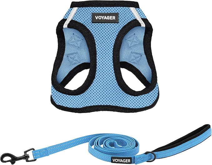 Best Pet Supplies Voyager Step-in Air All Weather Mesh Harness and Reflective Dog 5ft Leash Combo with Neoprene Handle, for Small, Medium and Large Breed Puppies - Set (Baby Blue/Black Trim), Small