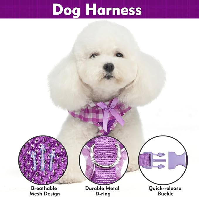 EXPAWLORER Cute Dog Harness and Leash Set - Purple Girl Dog Harness Checkered Step-in Design, Easy Adjustable No-Choke Lightweight Breathable Vest for Puppy Small Dogs Cats Outdoor Walking, X-Small