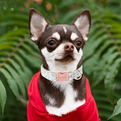 Unique style paws Dog Collar Metal Buckle Green Flowers Collar Gift Durable Cute Collar for Small Medium Large Boys Girls Dogs