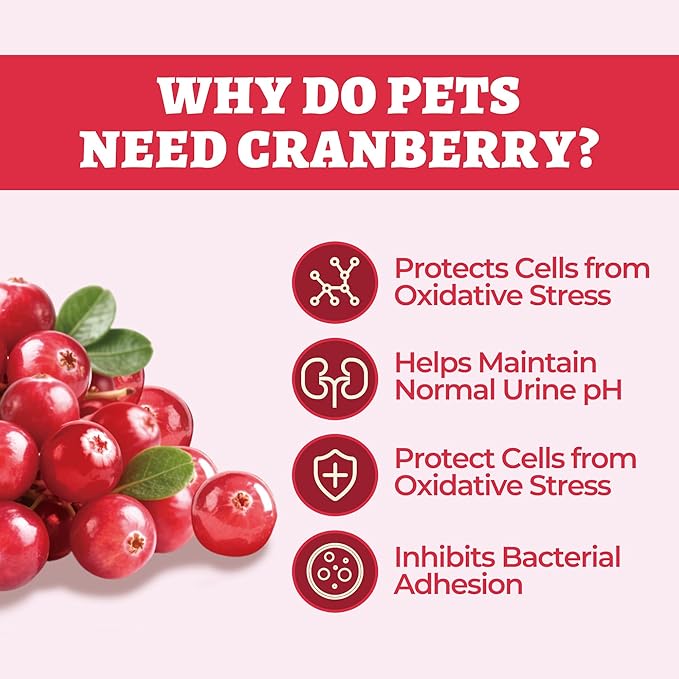 Wellix 8.8oz Large Dog and Cat Urinary Supplement - Rich in Omega-3,Cranberry for Cat UTI Treatment -Urinary Tract Podwer for Bladder & Kidney Support - Mixing with Dog&Cat Food Topper