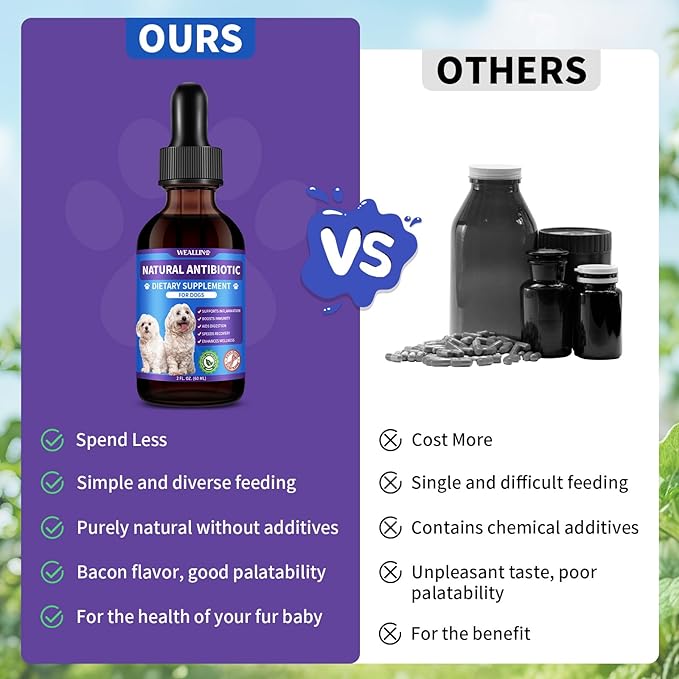Dog Antibiotics Support - Natural Antibiotics Care for Dogs Herbal Supplement for Cough Allergy Itch Relief Immune Support Dog UTI Comfort for All Breeds & Ages - 60 ml/2 Fl Oz Bacon Flavor