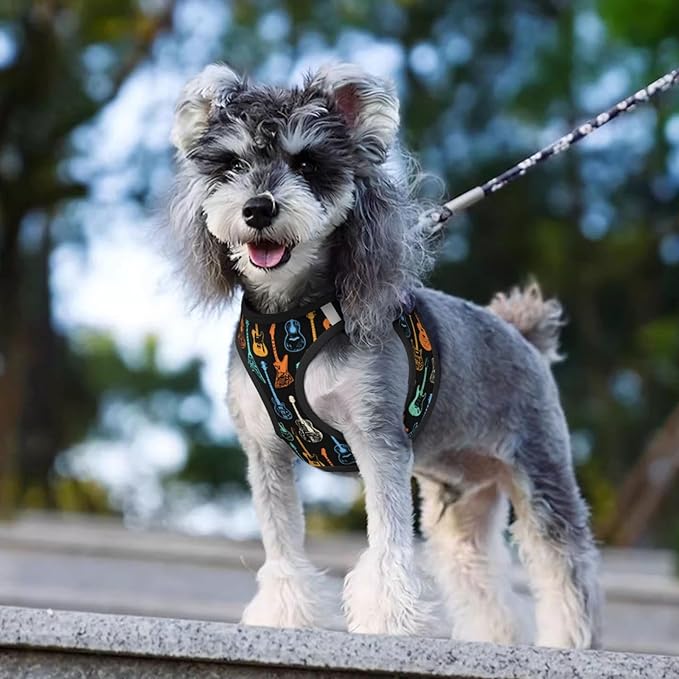 Dog Harness and Leash Set with Electric Guitars Music Pattern, Breathable Mesh Vest with Reflective Strips, Adjustable No Pull Pet Harness for Small Dogs and Cats Small