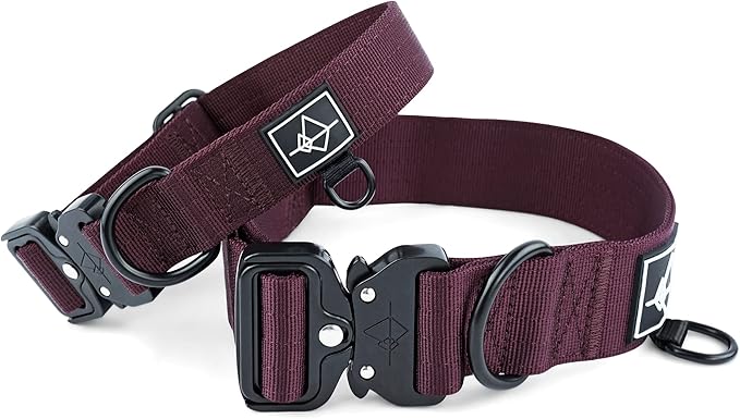 Made to ROAM Premium Dog Collar - Adjustable Heavy Duty Nylon Collar with Quick-Release Metal Buckle (Vermont Weekends, Classic Size 2)